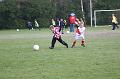 Jordy 529